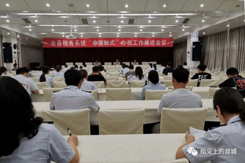 郯城稅務 持續優化營商環境，以專業服務賦能經濟社會發展大局